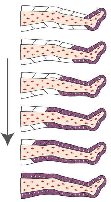 Pressoterapia MESIS PressoMedical 1.0 Advance a 6 camere FO-3001-(SIX)2GK con 2 gambali + Kit Slim Body