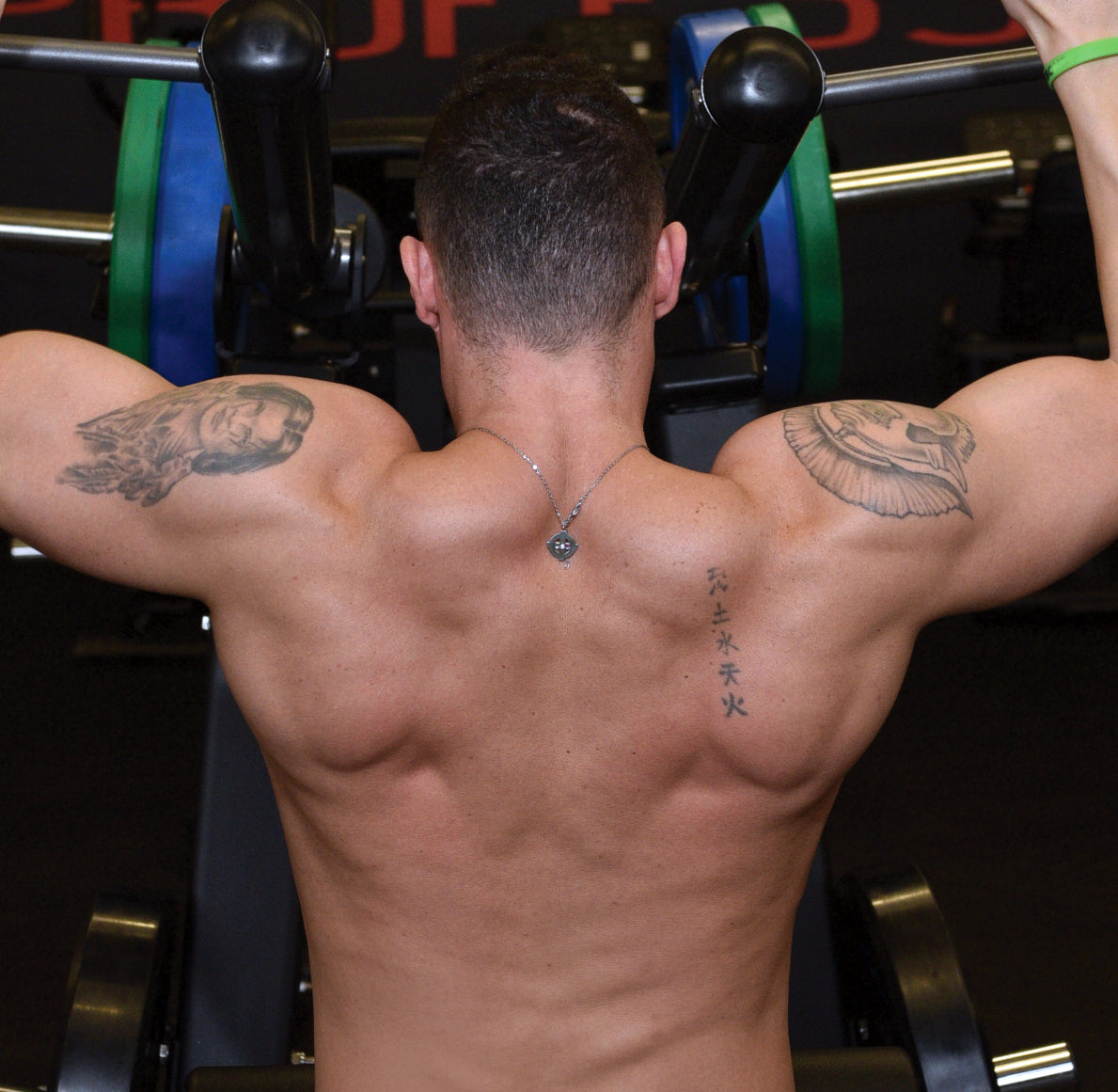 Toorx Vertical - Pull Down FWX-5600 - carico massimo 200 Kg.