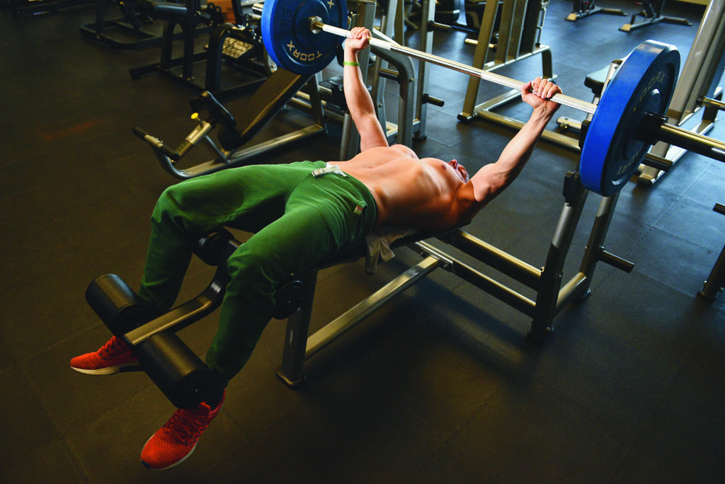 Panca Declinata Olympic WBX-3600 LINEA TOORX STRENGTH PROFESSIONALE Colore Silver