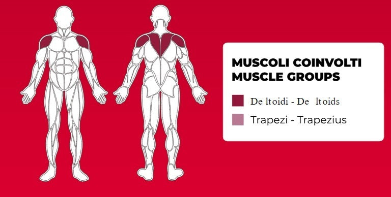 Standing Lateral Raise FWX 6550 Linea Toorx Professional Line cod. FWX-6550