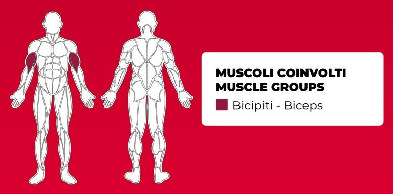 Toorx Biceps Curl cod.FWX-7100