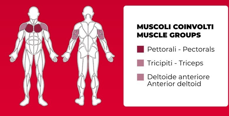 Coverging Chest Press PLX-8000 Linea Toorx Professional Line cod. PLX-8000