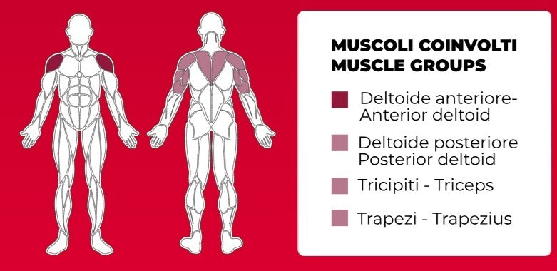 Converging Shoulder Press PLX-8100 Linea Toorx Professional Line cod. PLX-8100