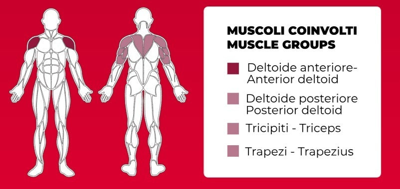 Multi Flight PLX-8200 Linea Toorx Professional Line cod. PLX-8200
