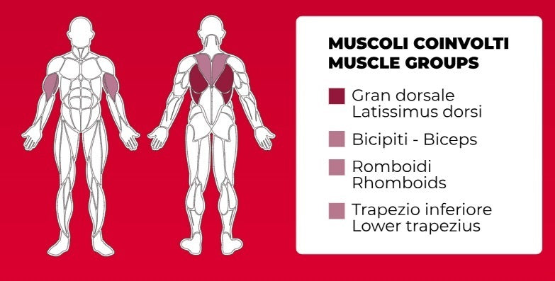 Lat Machine PLX-8300 Linea Toorx Professional Line cod. PLX-8300