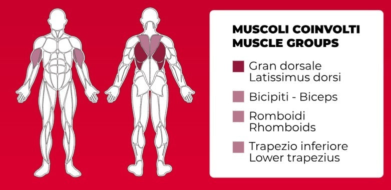 Low Row Plate Loaded Linea Professional Toorx cod. FWX-8400
