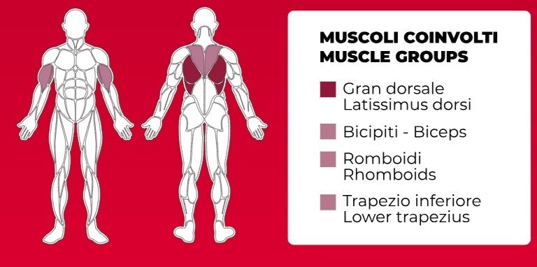 Mid Row Plate Loaded Linea Professional Toorx cod. FWX-8500