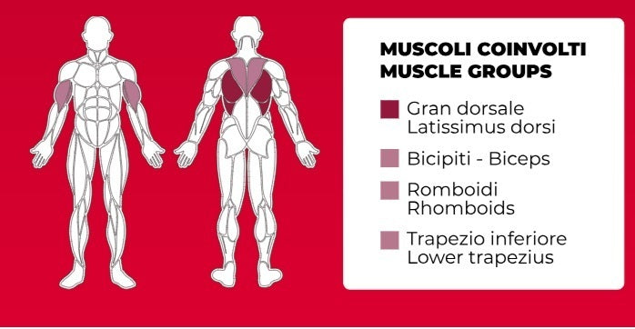 Adjustable Pulley PLX-8500 Linea Toorx Professional Line cod. PLX-8500