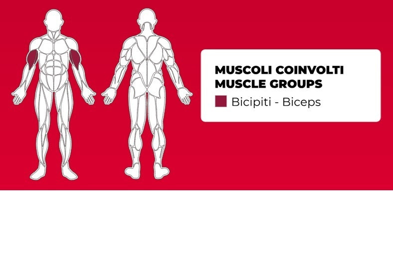 Biceps Curl PLX-8600 Linea Toorx Professional Line cod. PLX-8600