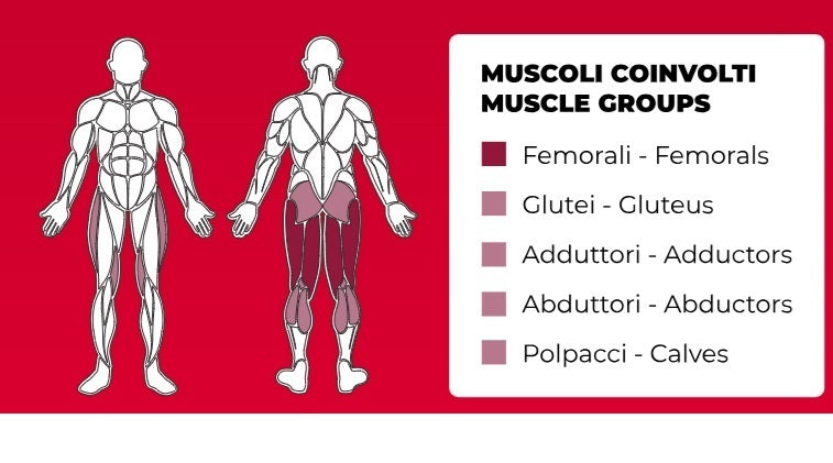 Prone Leg Curl PLX-8900 Linea Toorx Professional Line cod. PLX-8900