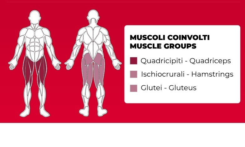 Hack Squat Linea Professional Toorx cod. FWX-9100