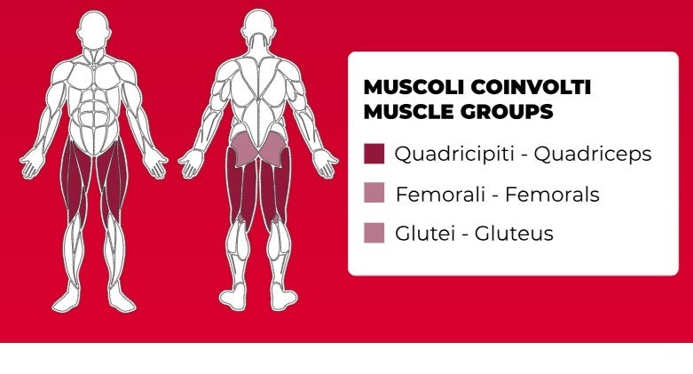 Seated Leg Curl/ Leg Extension PLX-9600 Linea Toorx Professional Line cod. PLX-9600