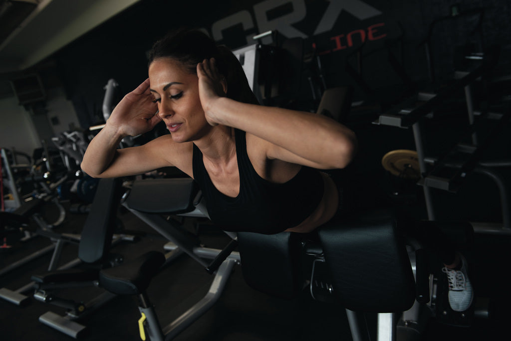 Panca Lombare Regolabile WBX-2600 LINEA TOORX STRENGTH PROFESSIONALE Colore Silver