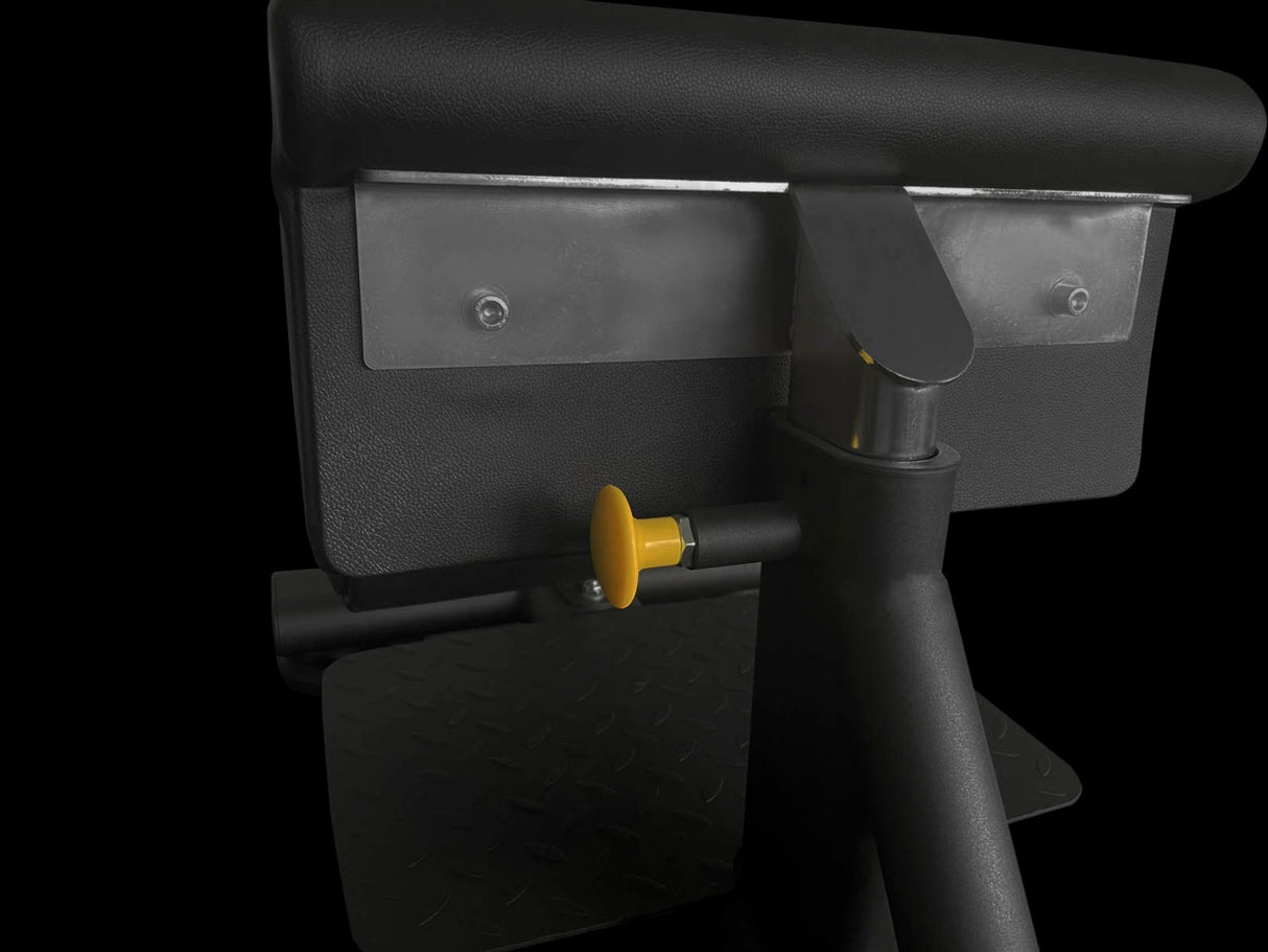 Sissy Squat WBX-1800 Linea Toorx Professional