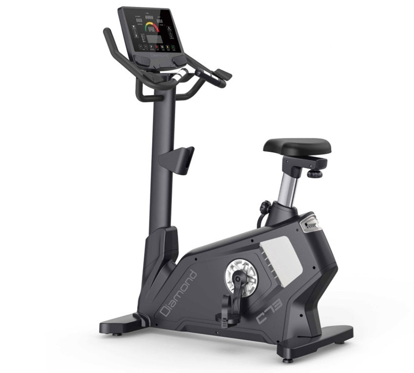 C73 Cyclette Professionale Autoalimentata Diamond- peso max utente 150 kg - fascia cardio Polar T34 inclusa cod.C73