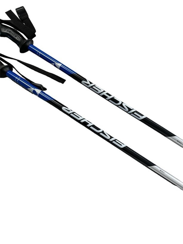 Bastoncini sci Fischer grigio/nero/blu