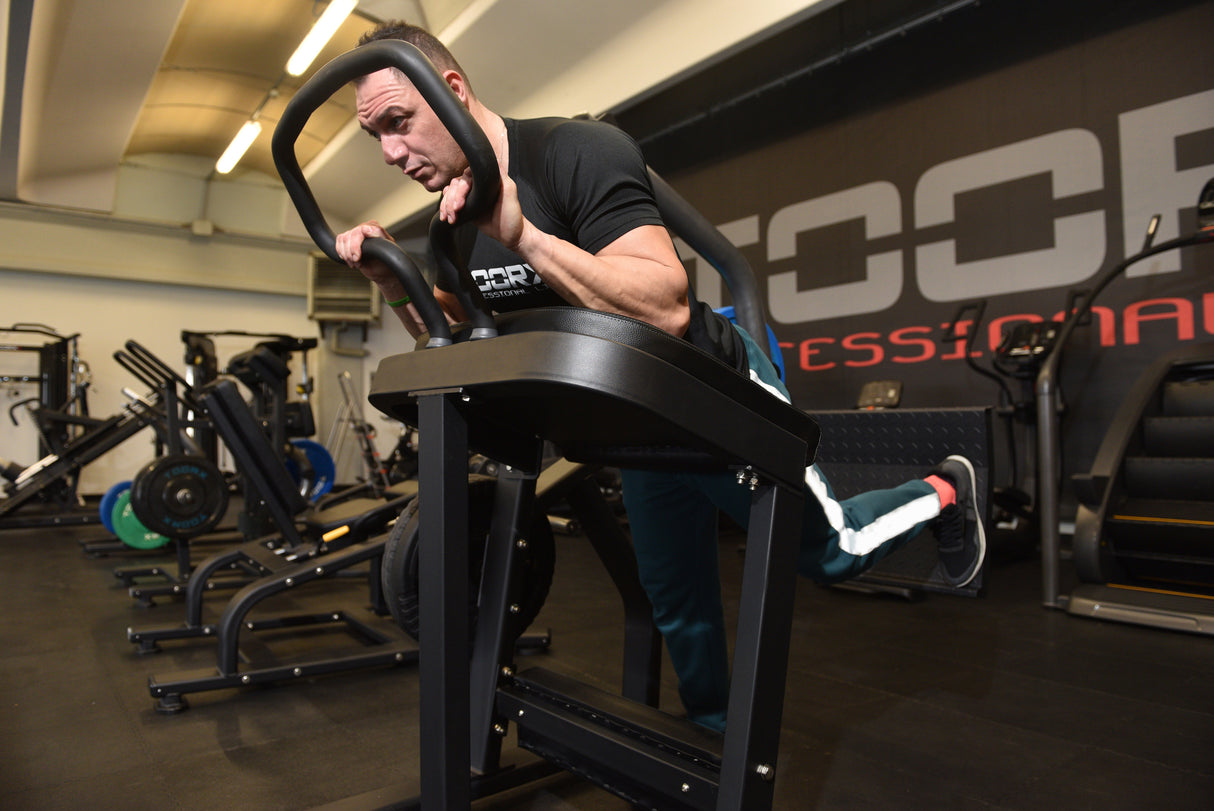 Toorx Vertical - Gluteus Machine FWX-4600 - carico massimo 200 Kg.