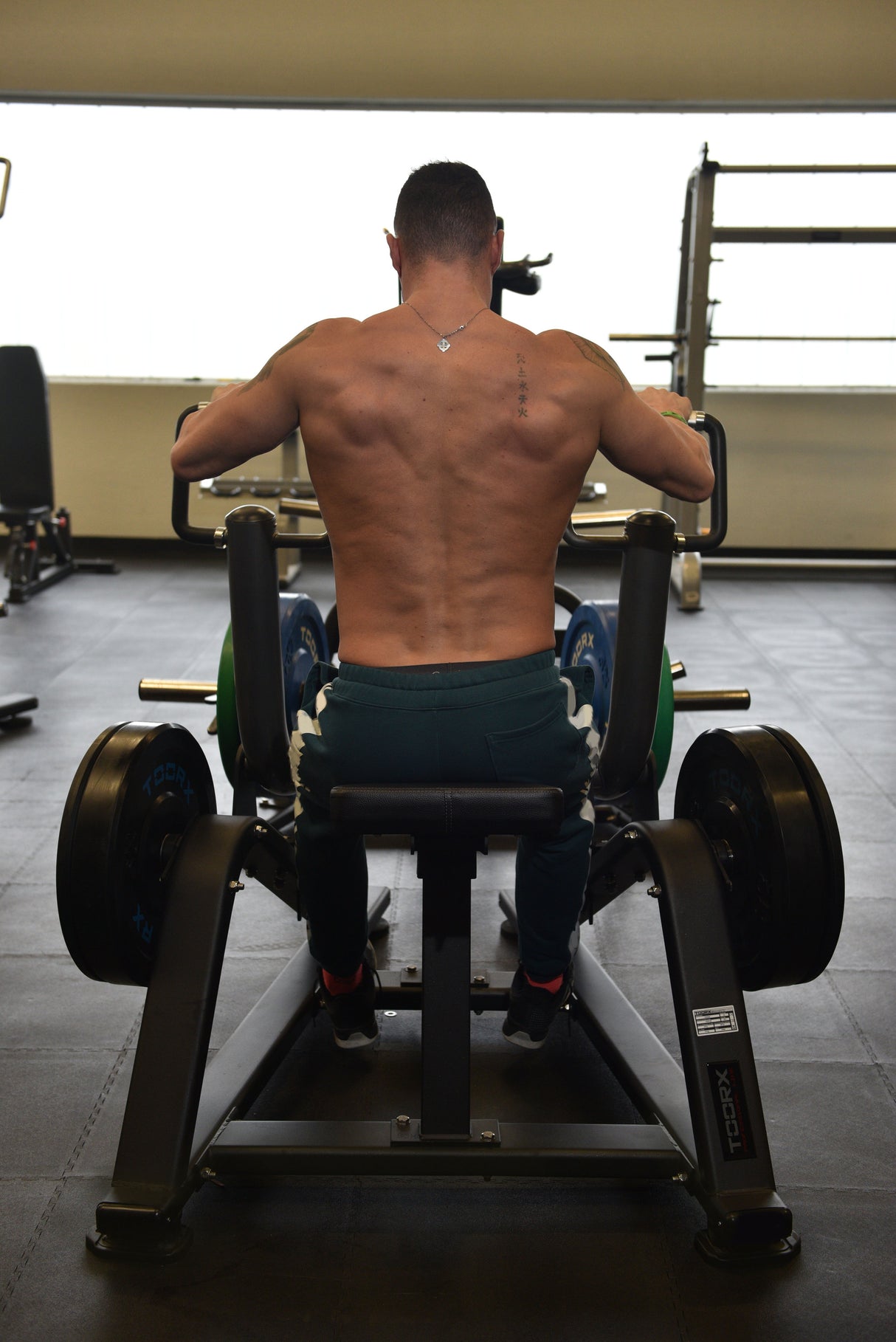 Toorx Vertical - Row Machine FWX-5200 - carico massimo 200 Kg.