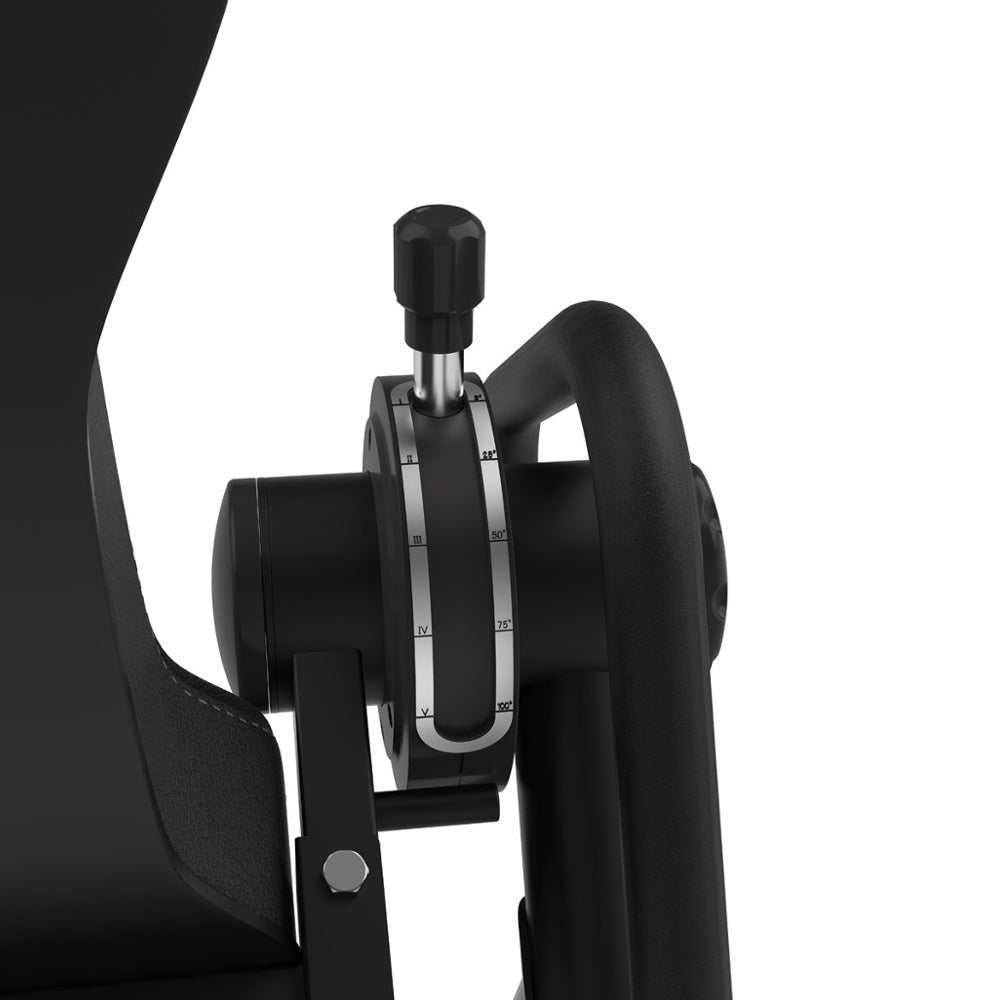 Toorx Professional - Panca ad inversione GBX-3000