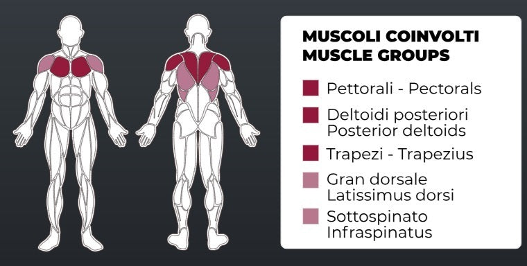 Toorx Vertical - Aktiv Line Pectoral fly/rear deltoid PLX-5000 - Pacco pesi 80 Kg.