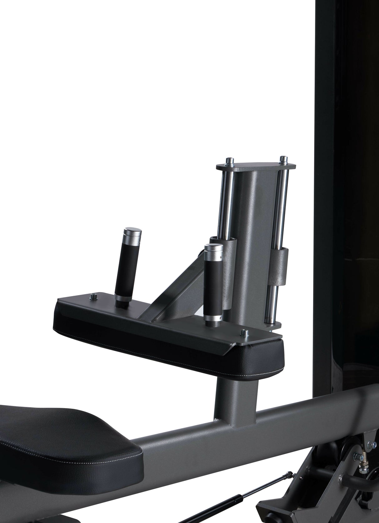 Seated Calf PLX-7200 Linea Toorx Professional Line cod. PLX-7200