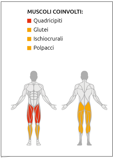 Hack Squat con sistema di blocco al piede- Plate Loaded Linea Diamond cod. PL-HACKSQUAT