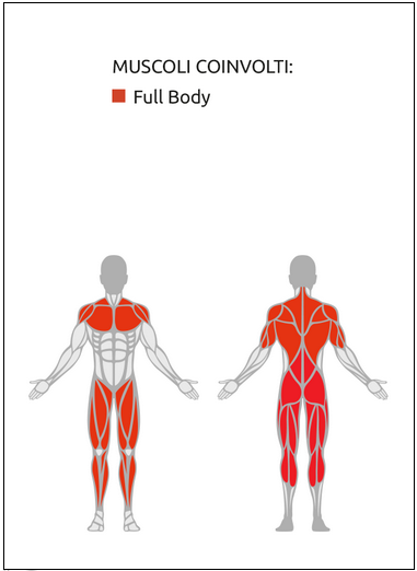 Vertical Leg Press - Plate Loaded Linea Diamond cod. PL-VLEGPRESS