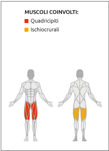 Leg Extention machine - Plate Loaded Linea Diamond cod. PL-LEGEXTENTION