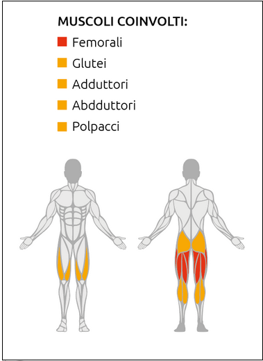 Leg Curl machine - Plate Loaded Linea Diamond cod. PL-LEGCURL