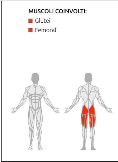 Hip Thrust- Plate Loaded Linea Diamond cod. PL-HIPTHRUST