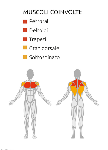 PECTORAL FLY / REAR DELTOID - Weight Stack 90 kG. - Linea Diamond Professional Strenght - Cod. WS750-BUTTERFLY