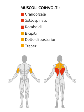 S750 LAT PULLDOWN - Weight Stack 100 kG. - Linea Diamond Professional Strenght - Cod. WS750-LATPULLDOWN