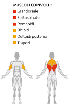 S750 PULLEY ROW - Weight Stack 100 kG. - Linea Diamond Professional Strenght - Cod. WS750-PULLEY