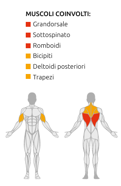 S750 ROW MACHINE - Weight Stack 90 kG. - Linea Diamond Professional Strenght - Cod. WS750-ROW