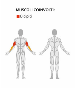 S750 BICEPS CURL MACHINE - Weight Stack 70 kG. - Linea Diamond Professional Strenght - Cod. WS750-BICEPS