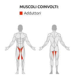 S750 ADDUCTOR - Weight Stack 90 Kg - Linea Diamond Professional Strenght - Cod. WS750-ADDUCTOR