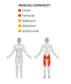 S750 GLUTEUS MACHINE - Weight Stack 80 Kg - Linea Diamond Professional Strenght - Cod. WS750-GLUTEUSMACHINE