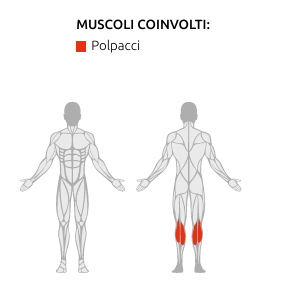 S750 STANDING CALF MACHINE - Weight Stack 90 Kg - Linea Diamond Professional Strenght - Cod. WS750-STANDINGCALF