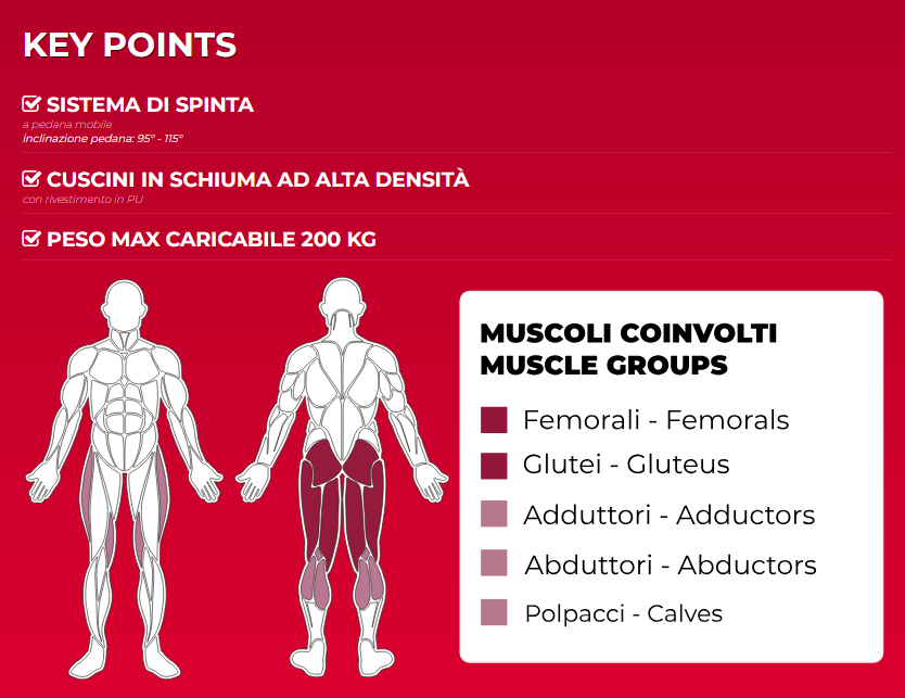 NOVITA' Toorx Absolute Line Plate Loaded - FWX-9600 REAR KICK - Professionale