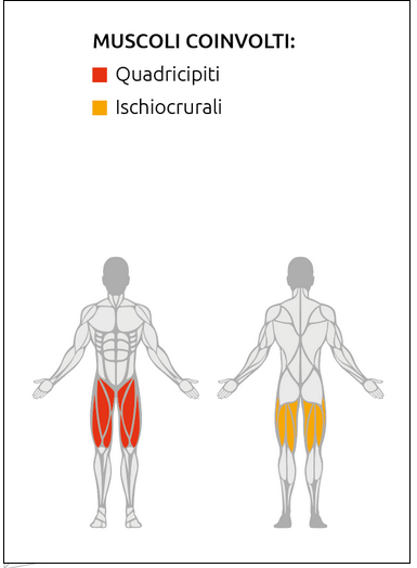 LEG EXTENSION Plate Loaded Linea Diamond cod. PL-LEGEXTENSION