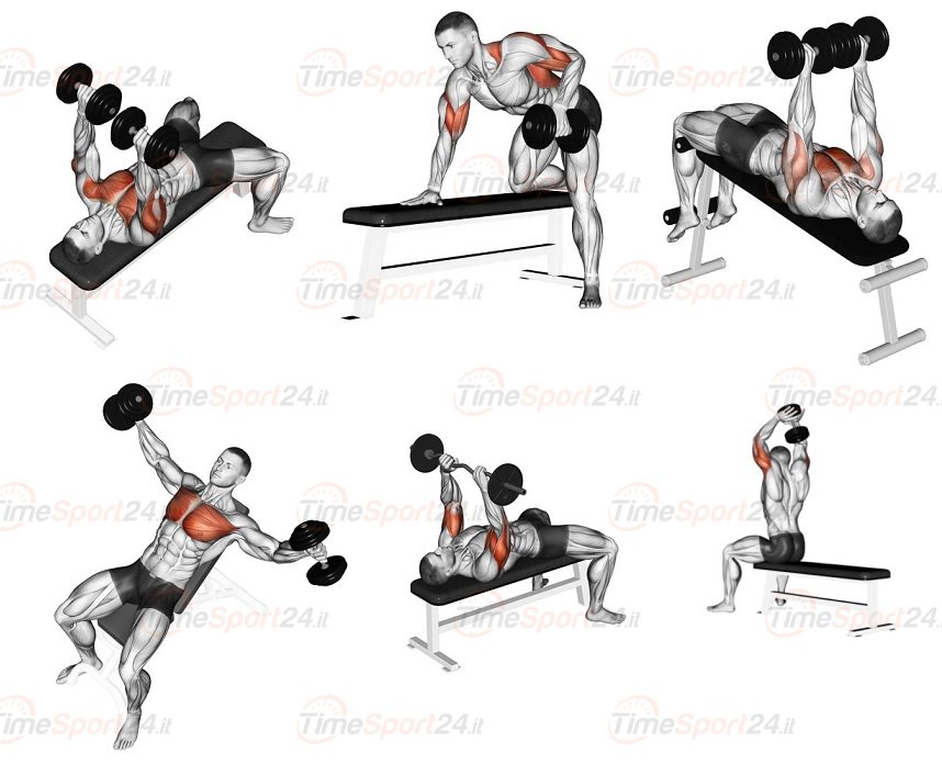 Panca Regolabile Bow-4.1s Bowflex - 5 Inclinazioni - Portata Max 250 Kg Per Esercizi; Curl, French Press, Distensioni, Spinte, Calf