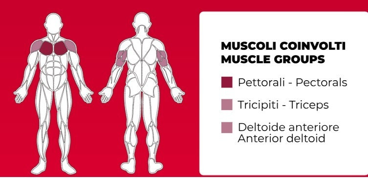 Wide Chest Press Plate Loaded Linea Professional Toorx cod. FWX-8000