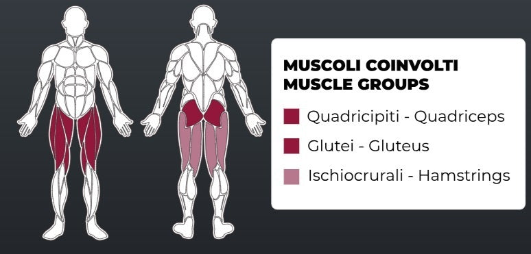 Toorx Vertical - Leg Extension FWX-4800 - carico massimo 150 Kg.