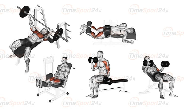 Panca Regolabile Con Porta Bilanciere Professionale Jk 6070 Jk Fitness Cod. Jk6070 Esercizi; Preacher Curl, Curl, Leg Extension, Bench Press, Leg Curl, Butterfly, Addominali