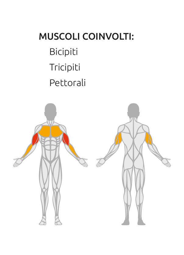 Seated Dips Plate Loaded Linea Linea Diamond cod. PL-DIP