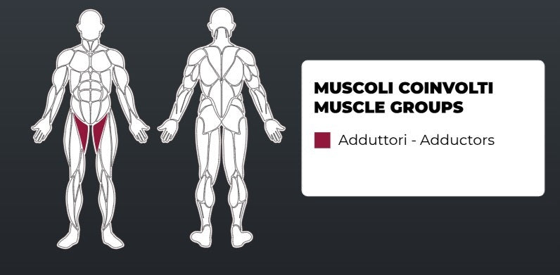 Toorx Vertical - Aktiv Line Adductor PLX-3600 - Pacco pesi 80 Kg.