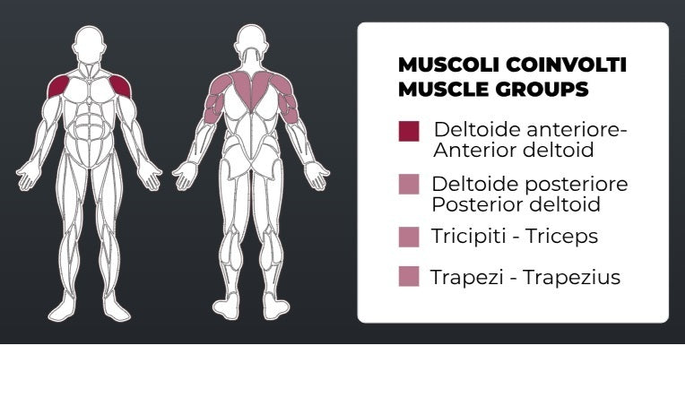 Toorx Vertical Aktiv Line Shoulder Press PLX-4200 - Pacco pesi 80 Kg.