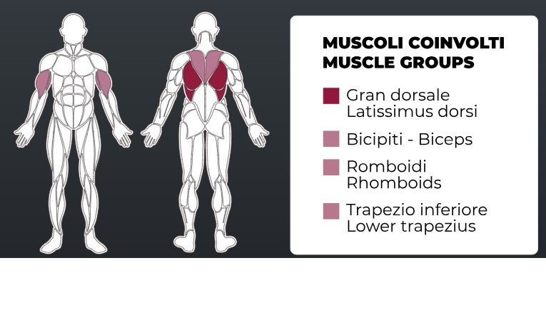 Toorx Vertical Aktiv Line Lat Machine PLX-4500 - Pacco pesi 120 Kg.