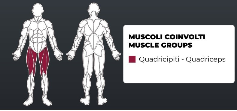 Toorx Vertical - Pin Loaded Leg Extension PLX-4600 - Pacco pesi 120 Kg.