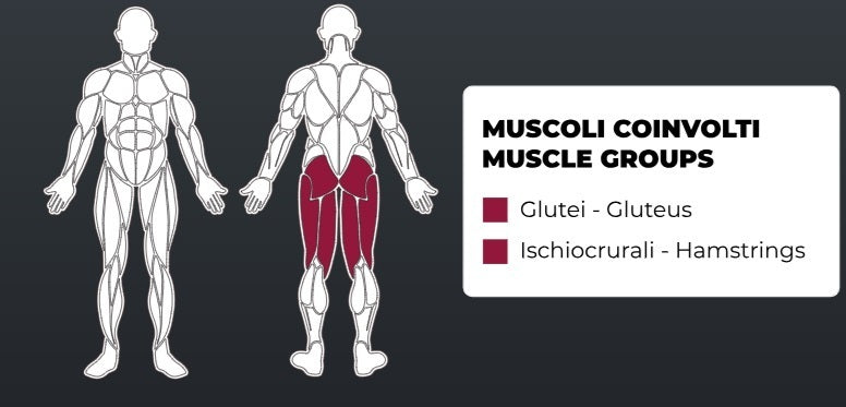 Toorx Vertical - Aktiv Line Selectorized Multi Hip PLX-4700 - Pacco pesi 80 Kg.